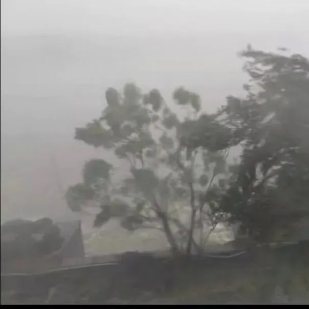 摩羯 考驗輕松過！探秘歐西盾TPO單層屋面系統(tǒng)的抗風(fēng)之妙